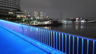 Panasonic Lumix S5 - Low Light 4k/60p/4:2:0,10bit Test - Tokyo bayside walk