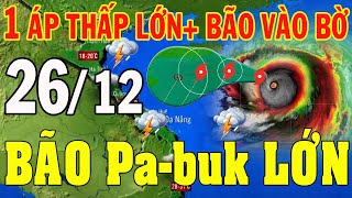 Tin bão Mới Nhất | Dự báo thời tiết hôm nay ngày mai 26/12 | dự báo thời tiết 3 ngày tới