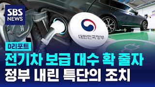 전기차 보조금 최대 780만 원으로 확대…대상은? / SBS / #D리포트
