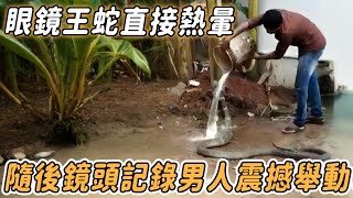 眼鏡王蛇直接熱暈，男人捨命澆水救其命，隨後鏡頭記錄震撼舉動！