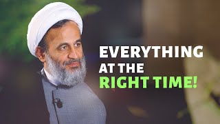 Everything at the right time! | Ali Reza Panahian