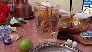 siddhaithai devotees tried at home vetiver lemon how to remove negative