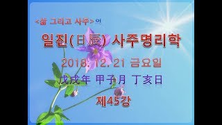 일진日辰 사주명리학 제45강 2018년 12월 21일무술년 갑자월 정해일 정화 자월생 정해일주