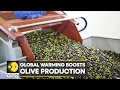 WION Climate Tracker: Global warming boosts olive production | Latest News