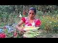 അടുക്കള തോട്ടത്തിലെ പന്തൽ ഇല്ല പാവൽ garden gardening