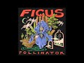 Ficus - Pollinator (full Album 2024)