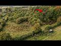 They Released WILD ANIMALS ONTO A FARM IN THE UK - What Happened Shocked The World