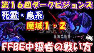 【FFBE】第１６回ダークビジョンズ！！死霊(氷・風)・鳥(水・土)系エリア　魔域１・２　FFBE中級者の戦い方(ﾟ∀ﾟ)【Final Fantasy BRAVE EXVIUS】