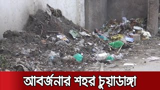 নেই বর্জ্য শোধনাগার, খোলা জায়গায় যত্রতত্র আবর্জনা! | Chuadanga Garbage