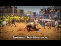 annavasal parattai kulathur jallikattu 2022