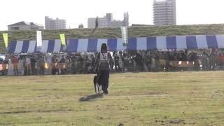 2012JKC秋季訓練競技会（決定戦）