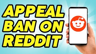 How To Appeal a Ban on Reddit - 2024 Guide