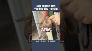 지구에서 제일 맛있는 물회 (제 입맛기준, 순전개취, PPL아님) #식탐보감