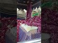 ajmersharif special hazri mazar sharif khwajagharibnawaz _ ajmersharif khwajagharibnawaz trending