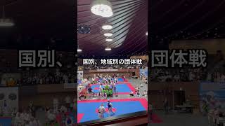 #硬式空手 #世界大会 #団体戦 #組手　#shorts