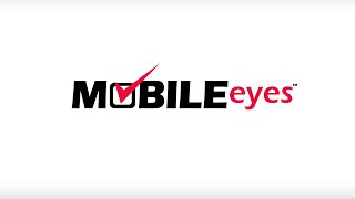 ROI: Inspecting your way to tangible savings with MobileEyes