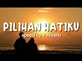 pilihan hatiku - Lavina (speed up+reverb)