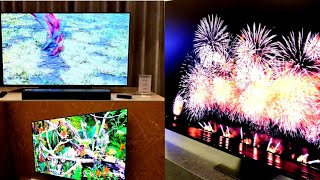 Samsung S95F QD-OLED Vs LG G5 OLED TV! What you need to Know before Buying These Beasts