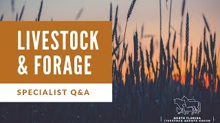 2020 Livestock and Forage Field Day Specialist Panel