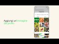 Come iniziare a usare l'applicazione WhatsApp Business | WhatsApp