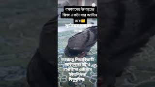 সূর্যাস্তের সময় পাঠ করার দোয়া 🤲🙏।। #islamic #islamicvideo #shorts #ytshorts #viral #fryandbite