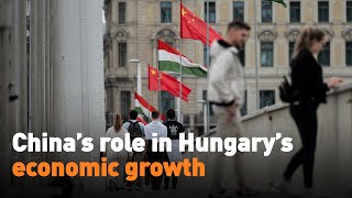 China’s role in Hungary’s economic growth