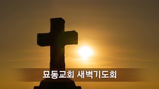 [2/28] 봄비새벽기도회