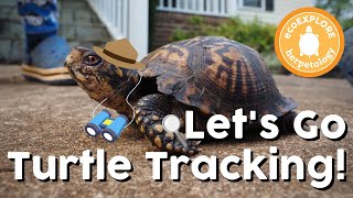 Let's Go Turtle Tracking!