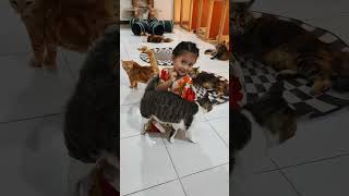 JANGAN PELIHARA KUCING JALANAN KALAU...