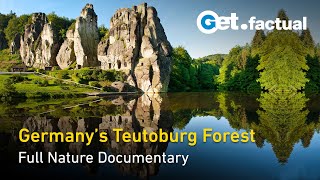 From Battleground to Oasis: Germany's Teutoburg Forest | Forest of Heroes | Full Nature Documentary