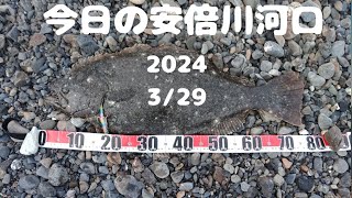 今日の安倍川河口(西側･波高･濁り･増水)　2024 3/29　#安倍川　#beach #釣れねえ #安倍川 #鮃 #鱸