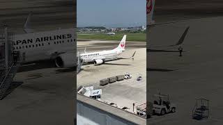 豪快なエンジン音で宮崎空港を離陸するANAのエアバスA320！