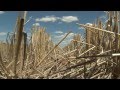 GCTV10: Grazing Stubbles and Water Use Efficiency