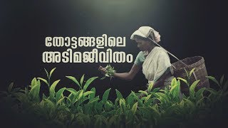 ജോലിയും കൂലിയും നിഷേധിക്കപ്പെട്ട്  അടിമകൾക്ക് തുല്യരായി കഴിയുന്ന തോട്ടം തൊഴിലാളികൾ