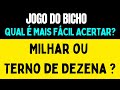 Jogo do Bicho - O que é mais fácil acertar? Milhar ou Terno de Dezena  ?