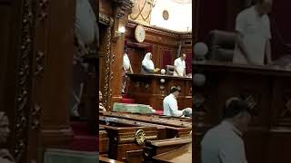 Vidhan Sabha me shapath laity MLA Domariaganj  Saiyada Khatoon #shorts #shorts #shortvideo