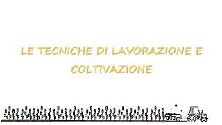 Agricoltura - Tecniche di lavorazione e coltivazione - 2^ media