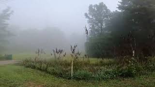 SUBRANG KAPAL NG FOGGY AT NAPAKAGANDA TINGNAN