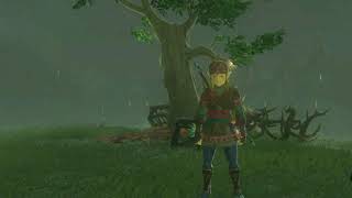 Link Falling Asleep on His Feet