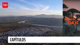 San Javier de Loncomilla | Frutos del país