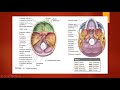 MUMUS Year 2 Revision Lecture: Head and Neck