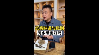 沉香的味道与沉香的级别有关系吗？沉水级的沉香味道就一定会更好吗？九分沉的沉香是不是更有性价比，本期视频满满的干货，看完会让你大有收获。