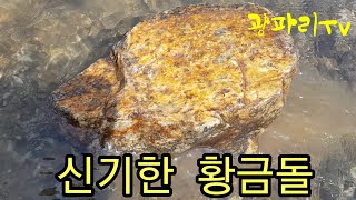 신기한 황금돌 호피석  (취미생활은 인생에 최고의 행복)