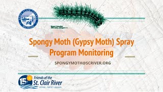 Spongy Moth Spring Monitoring