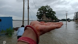 कुलेश्वर महादेव मंदिर में बाढ़ 🌊|| त्रिवेणी संगम 🙏🏻🥰|| छत्तीसगढ़ी VLOG || CG VLOGGER || yogutara