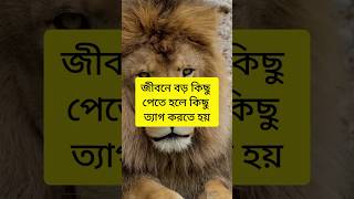 বড় কিছু পেতে হলে ত্যাগ দরকার #shorts #shortsfeed #motivation #motivationalquotes