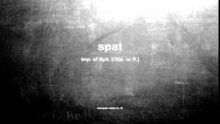 What does spat mean