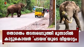 കരിക്ക് അകത്താക്കാനായി കാട്ടുകൊമ്പന്‍ പടയപ്പ നടുറോഡില്‍;ഗതാഗത തടസം | Munnar | Padayappa