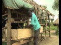 Commercializing agriculture in Lango increases locals' incomes