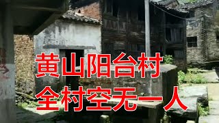 安徽黄山阳台村，现实版无人村，全村空无一人，古建筑遍布，跟我一起去探宝！